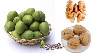 گردو